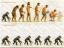 thm_evolution.jpg