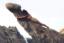 thm_penis_felsen.jpg