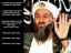 thm_bin_laden_05.jpg