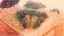 thm_natur02.jpg